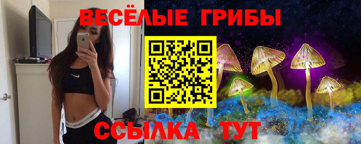 Псилоцибиновые грибы мухоморы  Вход с VPN  хочу наркоту  Псилоцибиновые грибы Psilocybine cubensis  Шали 
